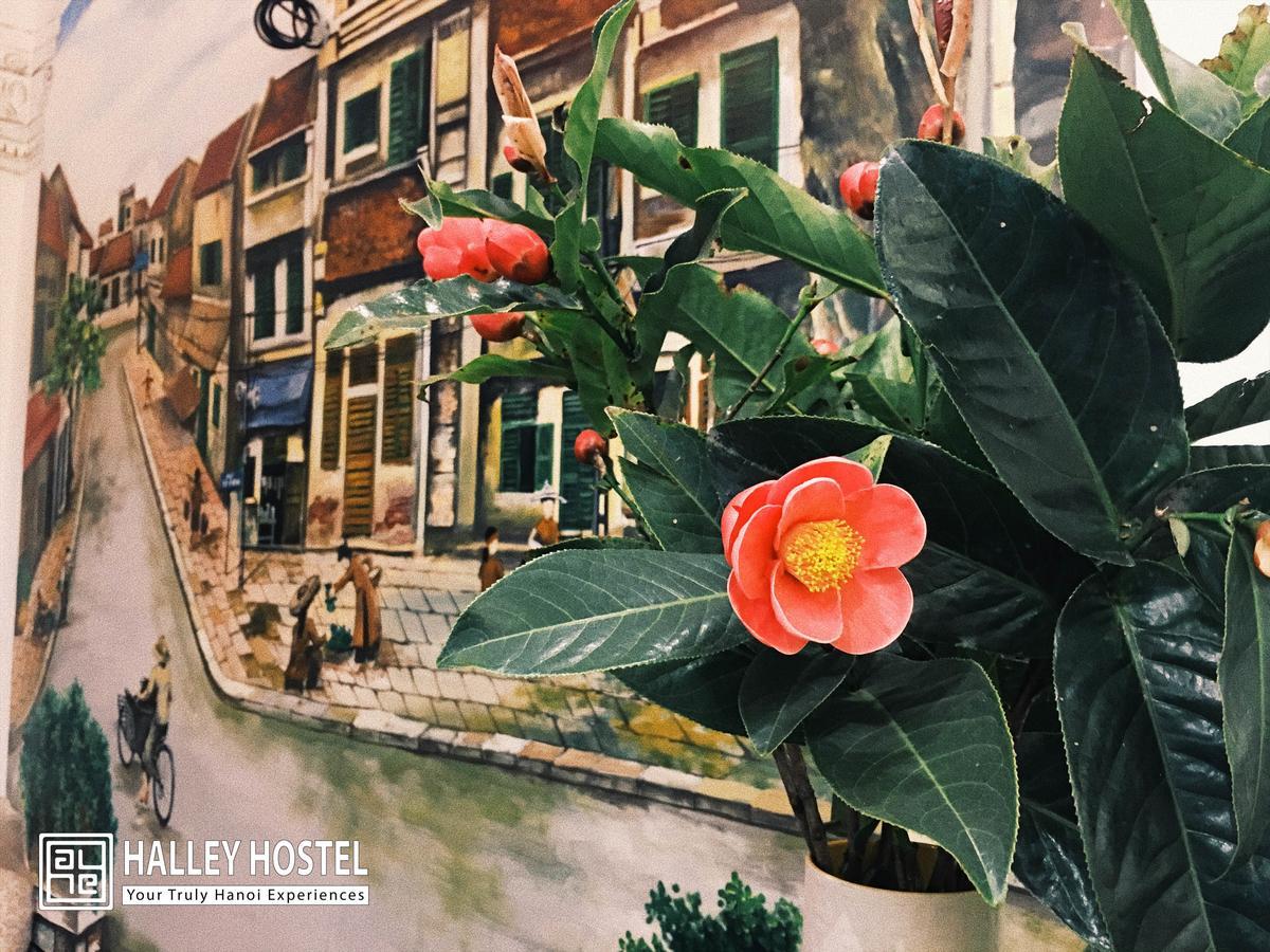 Halley Hostel Hanoi Kültér fotó